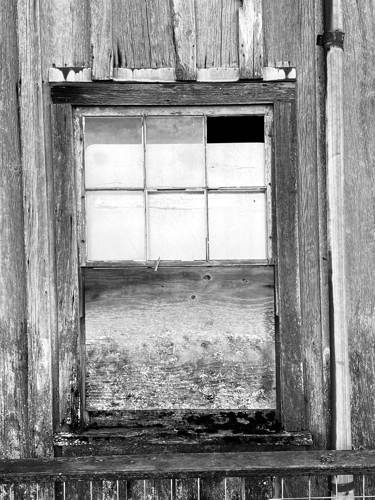 Black & White Wooden Window by clay88