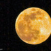 The Pink Moon April 2020 by larrysphotos