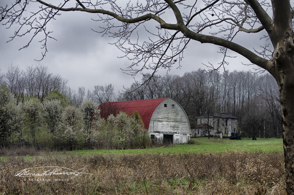 The Farm at Cooper Rd by ggshearron