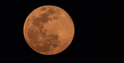 8th Apr 2020 - One More Moon Shot From Last Night!