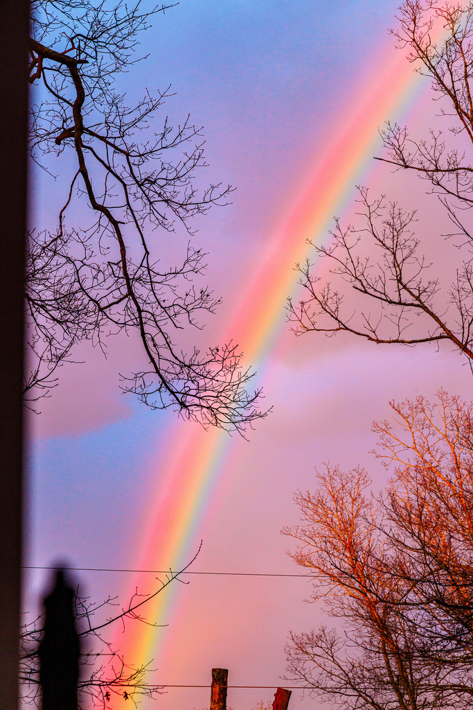 Rainbow by hjbenson