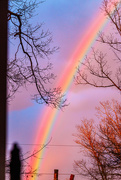 8th Apr 2020 - Rainbow