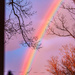 Rainbow by hjbenson