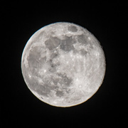9th Apr 2020 - Full Moon plus one day