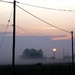 Dawn mist by moonbi