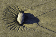 9th Apr 2020 - Sand Patterns 
