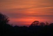 9th Apr 2020 - Red Sky at Night