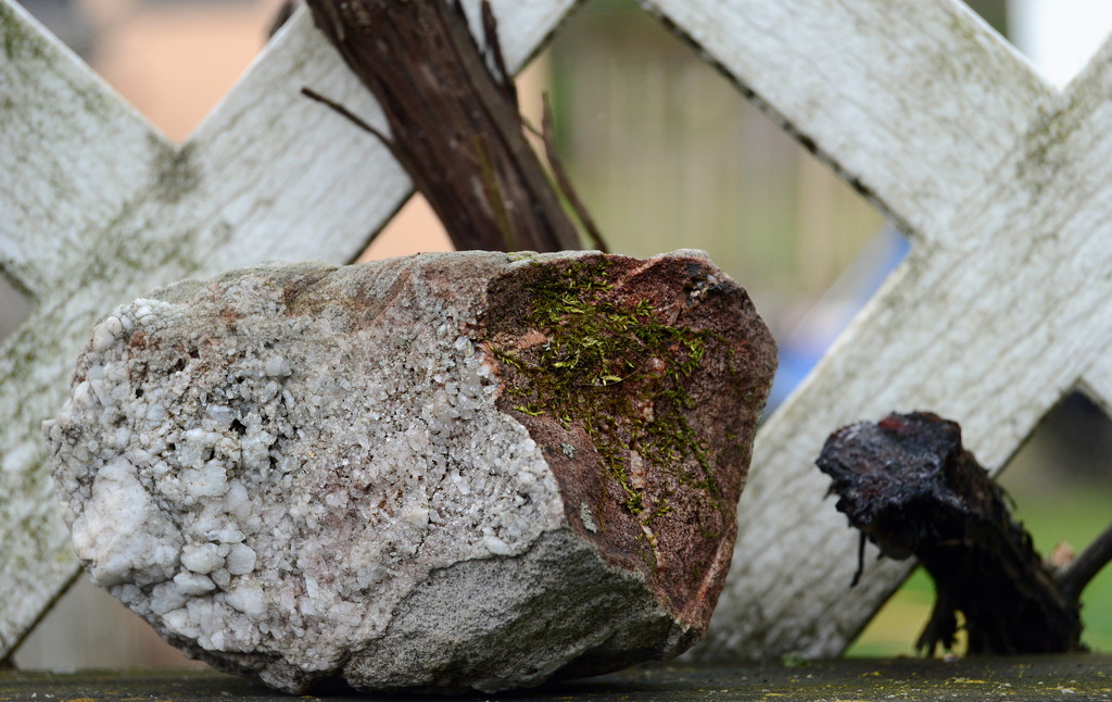 On the fence by francoise