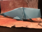 1st Apr 2020 - Sperm Whale