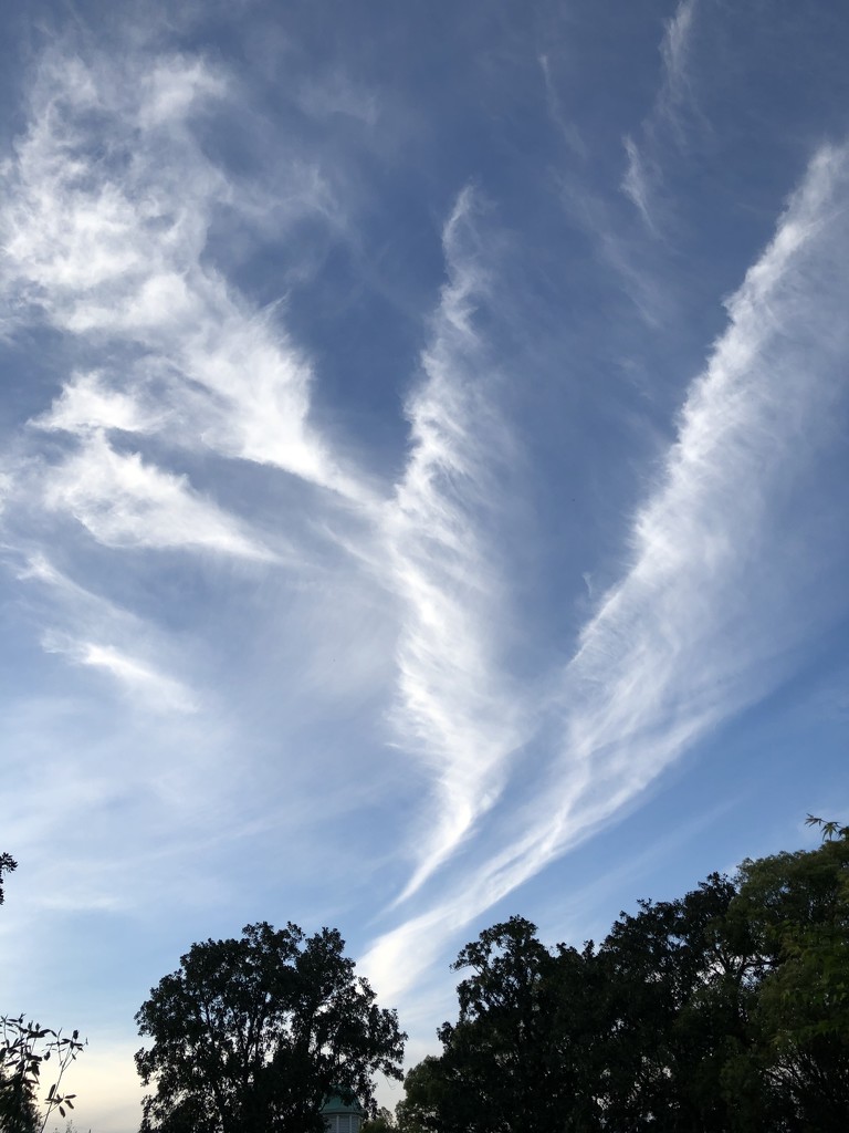Outstanding cloud formation by congaree