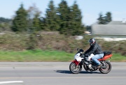9th Apr 2020 - Panning with motorcycle-0132