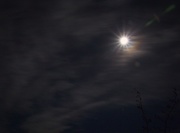 10th Apr 2020 - Moon flare