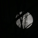 Moon by ingrid01