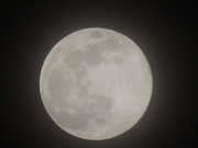 7th Apr 2020 - Full moon april 7 2020