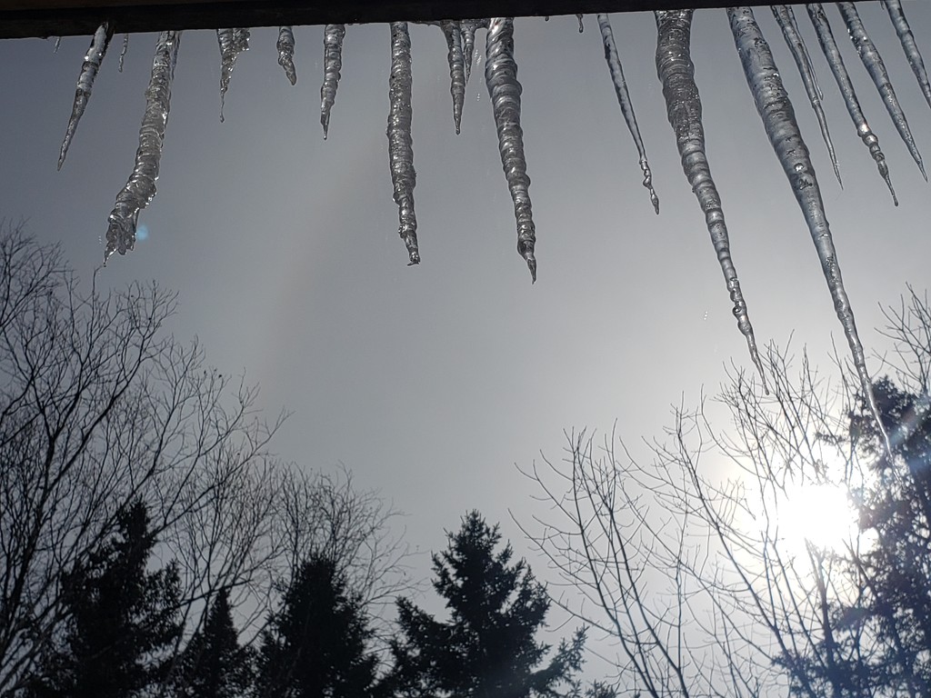 Under the Icicles by waltzingmarie