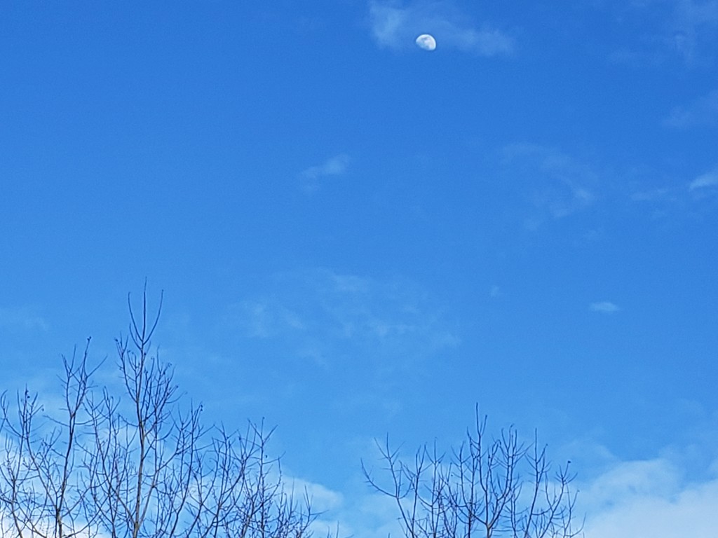 High Moon in Blue Sky by waltzingmarie