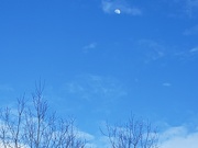 29th Mar 2020 - High Moon in Blue Sky