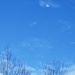 High Moon in Blue Sky by waltzingmarie