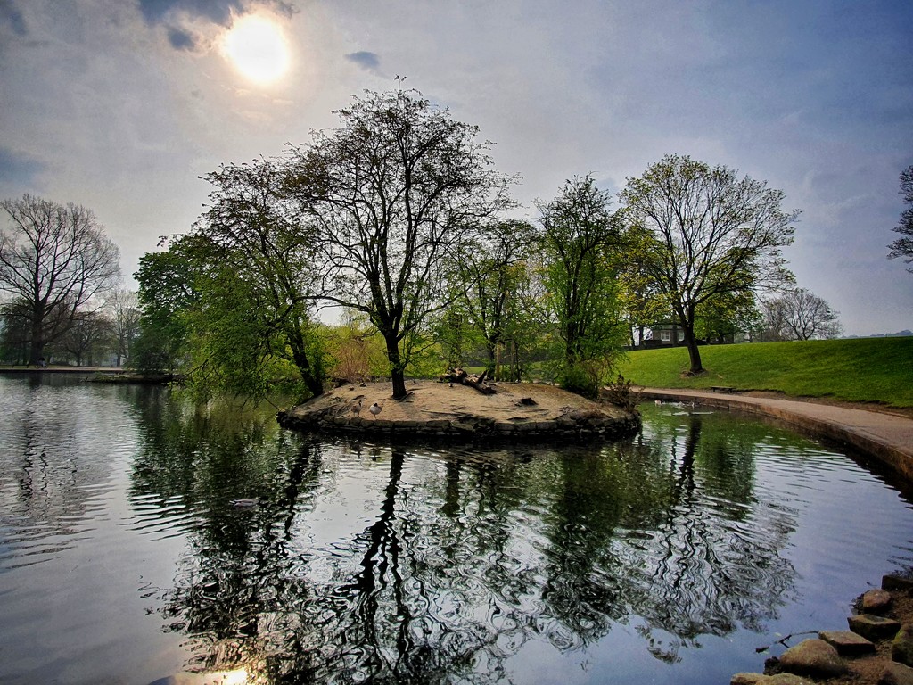 Pond reflections by isaacsnek