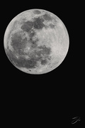 8th Apr 2020 - A Not So Full (Pink) Moon