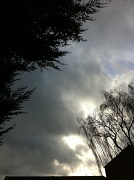 10th Jan 2011 - Lunchtime walk