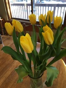 10th Apr 2020 - Gift from a neighbor