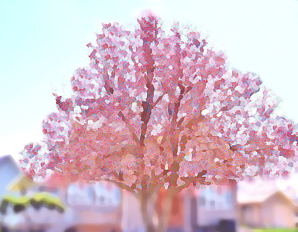 Painterly Magnolia by lynnz