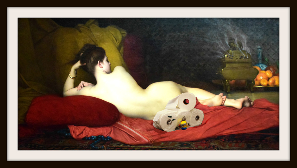 parody of the "odalisque" by summerfield