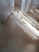 12th Apr 2020 - Light and shadows