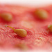 Strawberry seeds by bybri