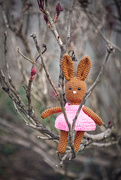 11th Apr 2020 - There's a Bunny in the Bush