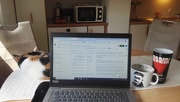 12th Apr 2020 - working from home