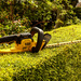 Hedge Trimmer by tonygig