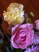 13th Apr 2020 - More from my bouquet