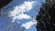 14th Apr 2020 - Look Up at the Sky Day