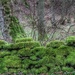 Moss on a drystone wall by craftymeg