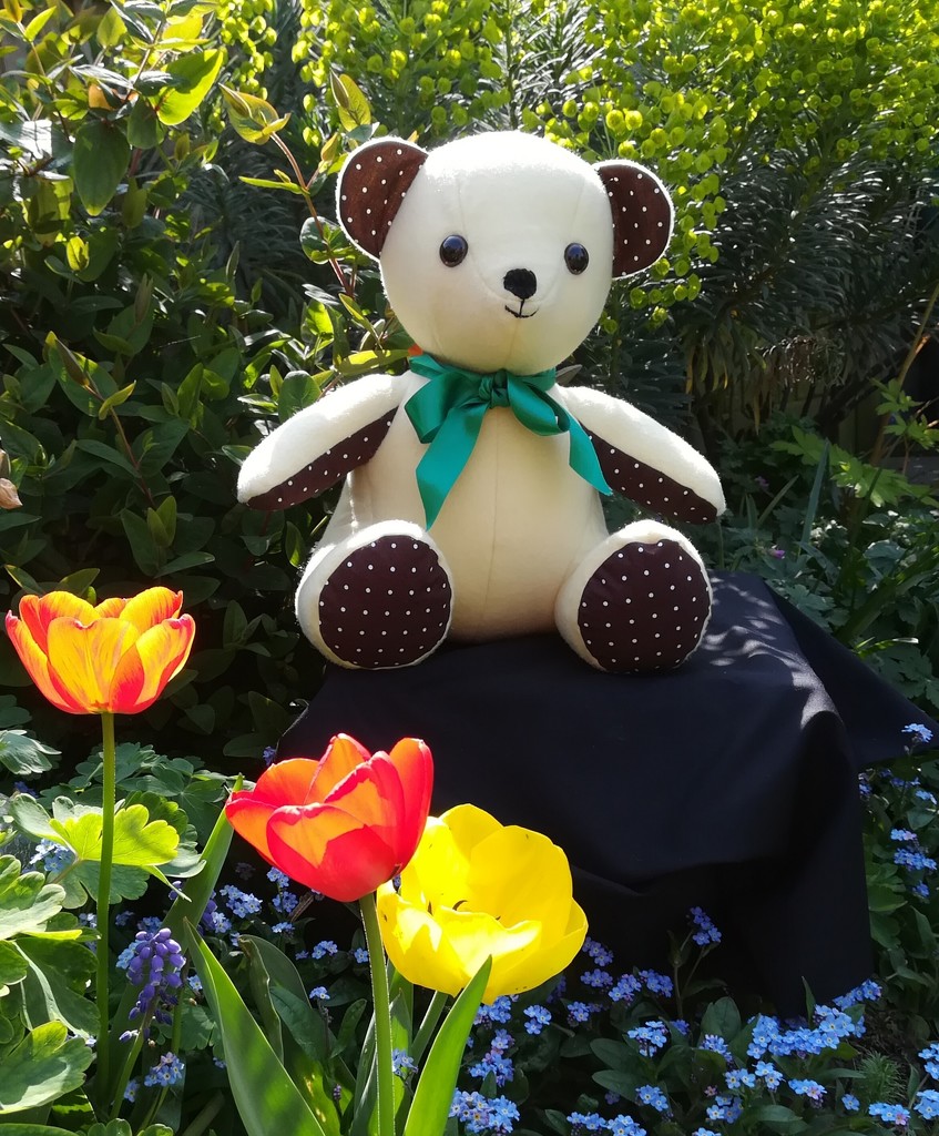 Teddy among the tulips by busylady