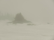 14th Apr 2020 - The Lake in Fog