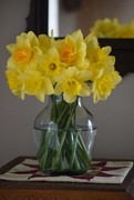 14th Apr 2020 - Springtime Bouquet