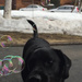 Max is trying to eat the bubbles by jshewman