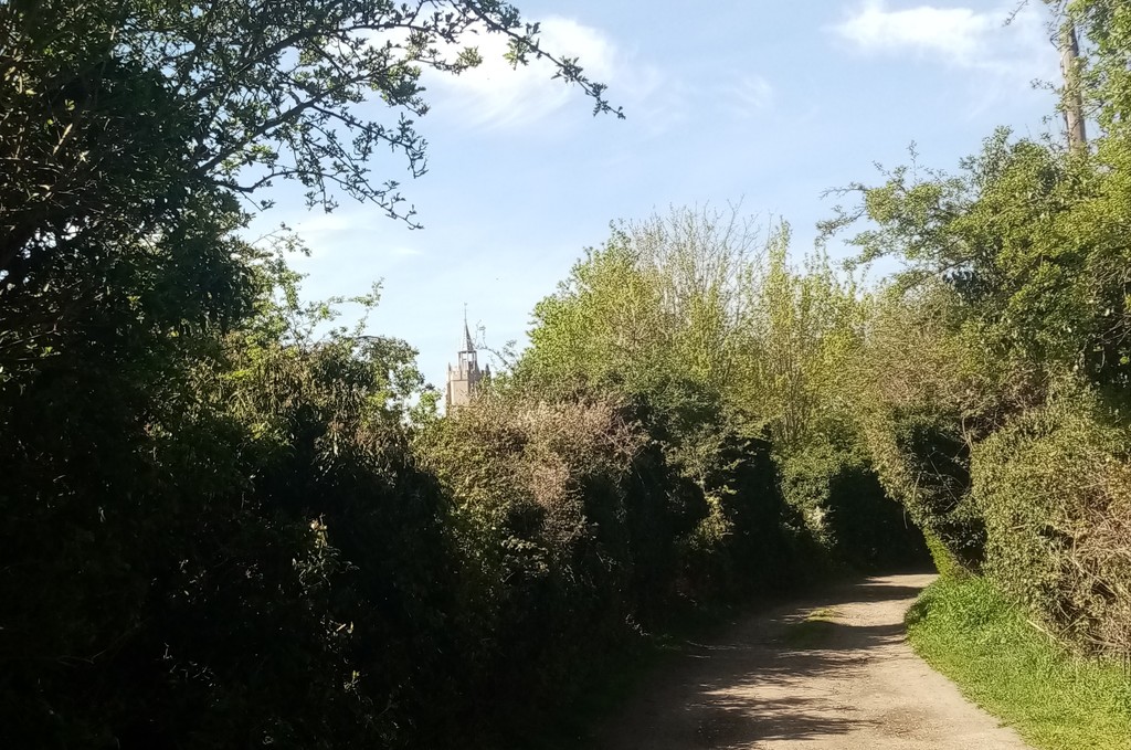 Green Lane With Church In The Distance by g3xbm