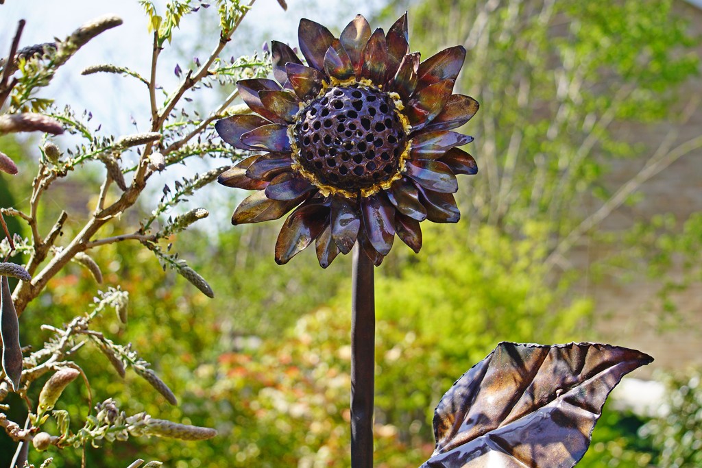 a copper sunflower by quietpurplehaze