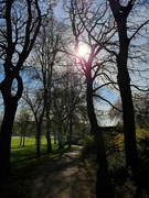 15th Apr 2020 - Morning walk at the park