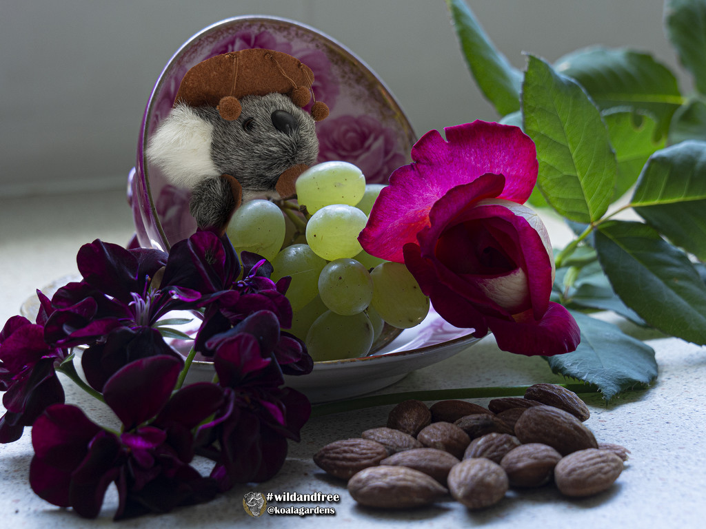 miniature still life by koalagardens