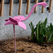 Pink Flamingo in Montana? by bjywamer