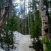 Snowy Trail by harbie