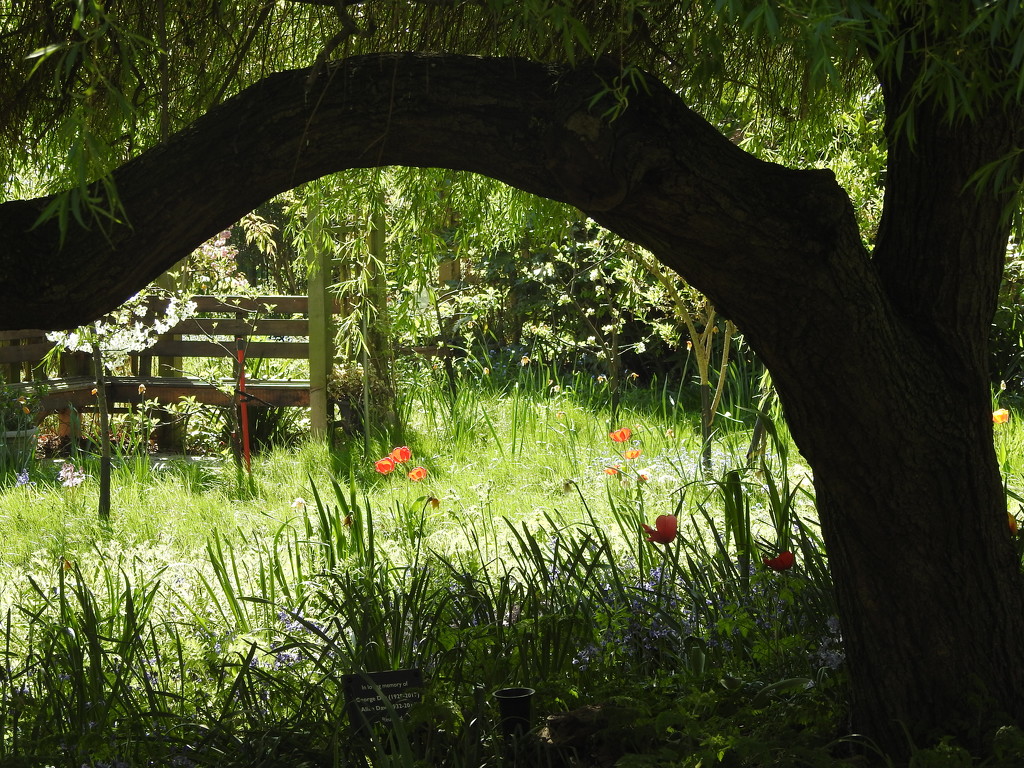 Church Garden by oldjosh