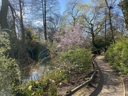 4th Apr 2020 - Another park walk 