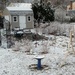 My little garden snowy visit by dianezelia