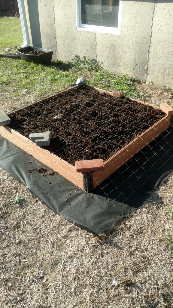 Raised bed by dianezelia